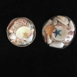 Island Shell-Coconut Pack